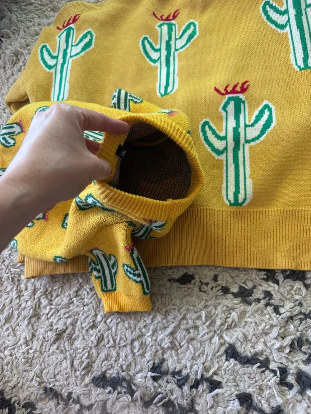Matching Pet and Person cactus sweaters
